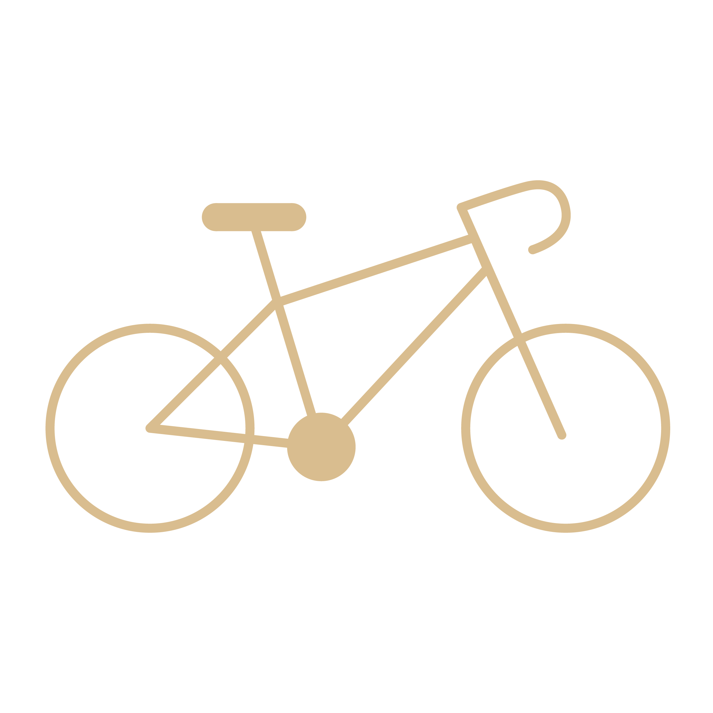 programs-icon-learntobike