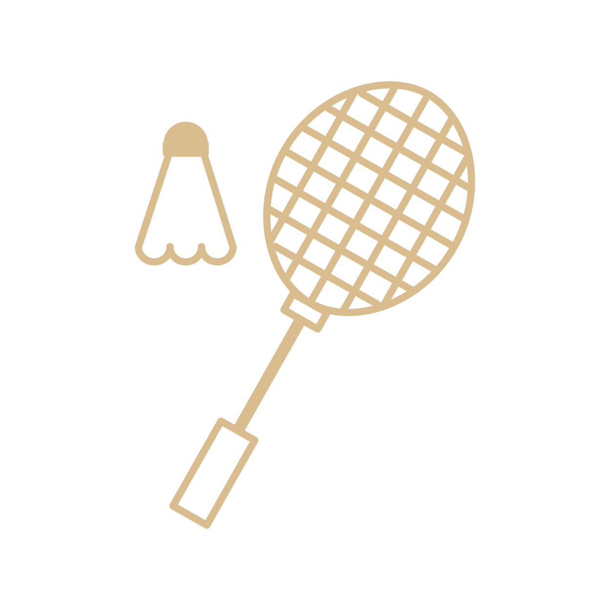 programs-icon-badminton