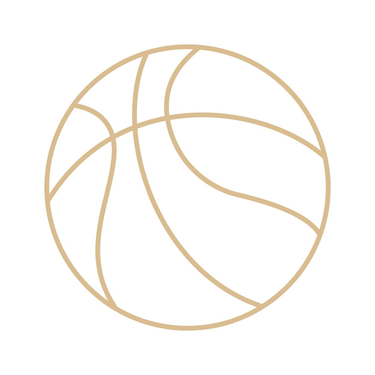 programs-icon-basketball