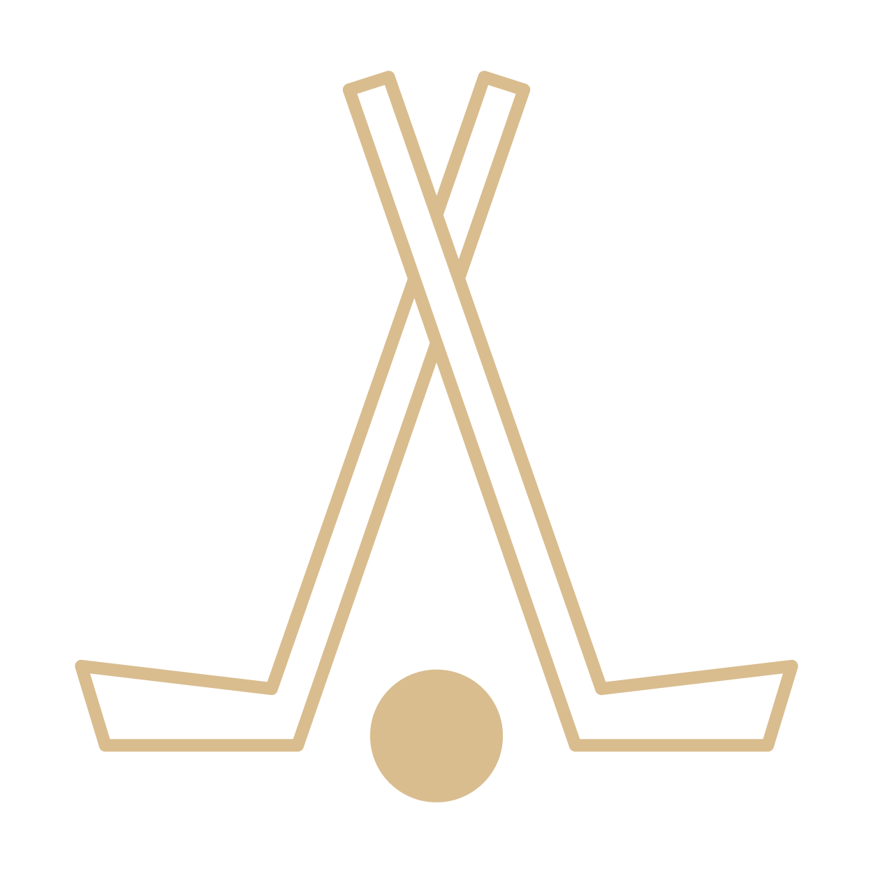 programs-icon-roadhockey