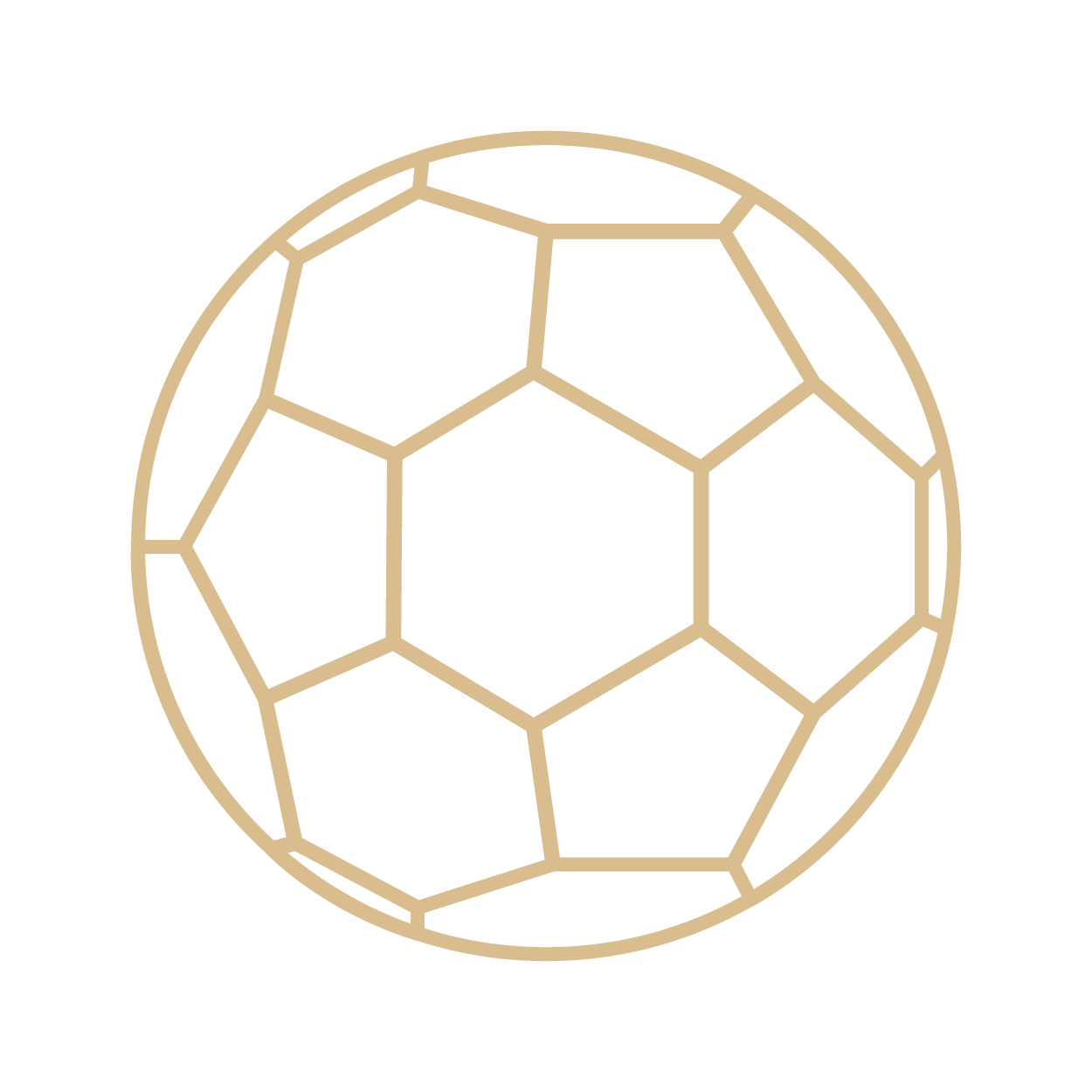 programs-icon-soccer